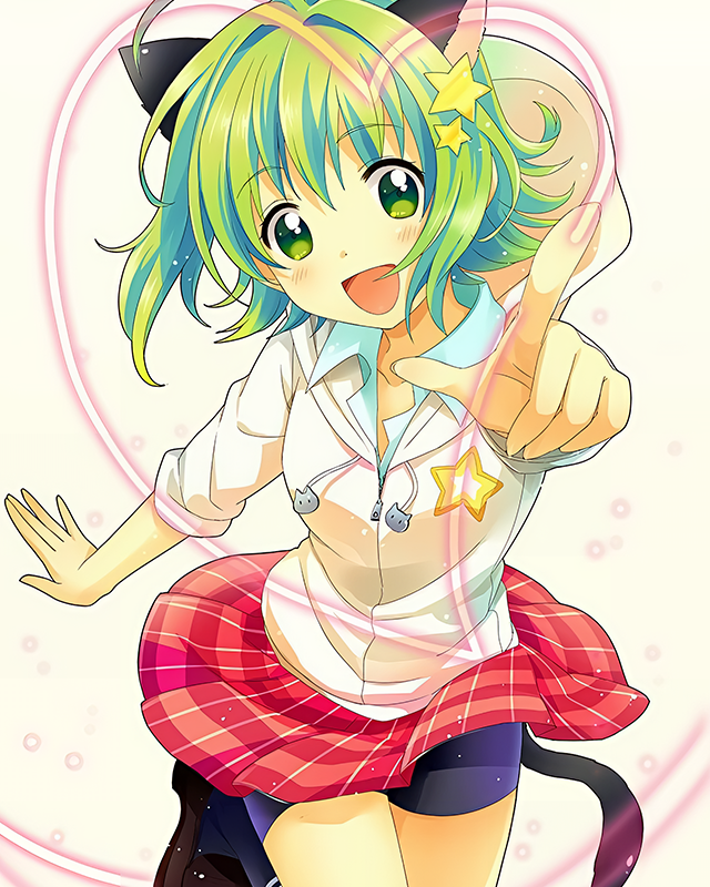 フォトコレクション